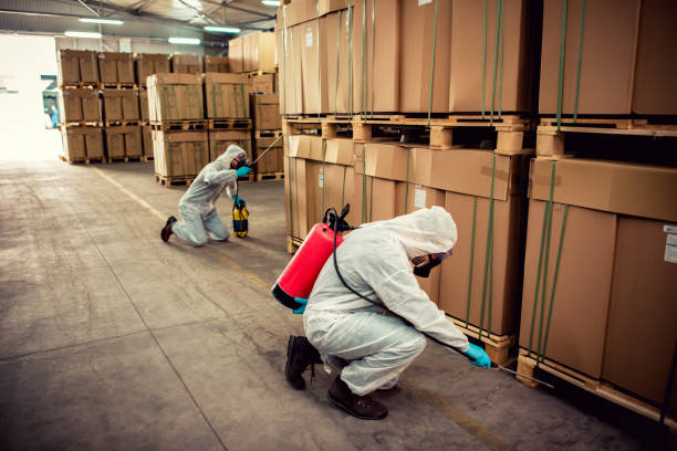 Best Mosquito Control Services  in Bloomfield, IA