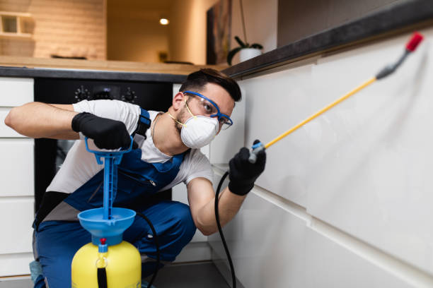 Best Pest Control for Businesses  in Bloomfield, IA