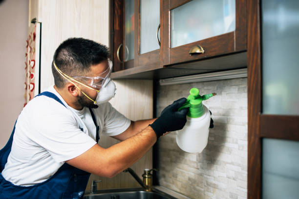 Best Wildlife Control Services  in Bloomfield, IA