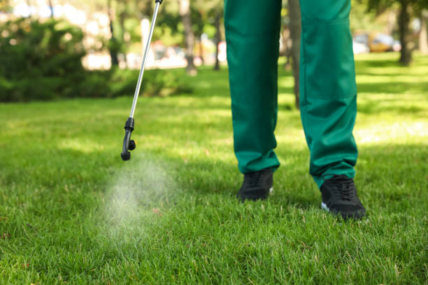 Insect Control in Bloomfield, IA