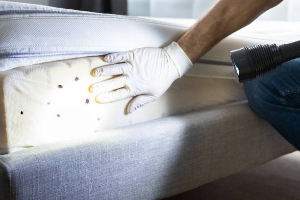 Best Residential Pest Control  in Bloomfield, IA