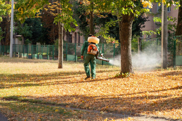 Best Emergency Pest Control  in Bloomfield, IA