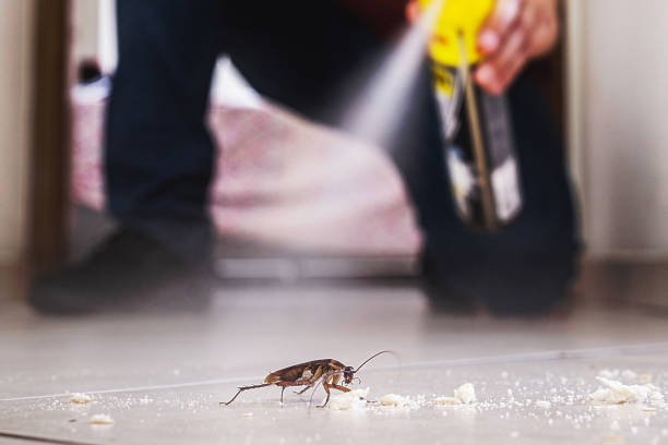 Best Best Pest Control Companies  in Bloomfield, IA