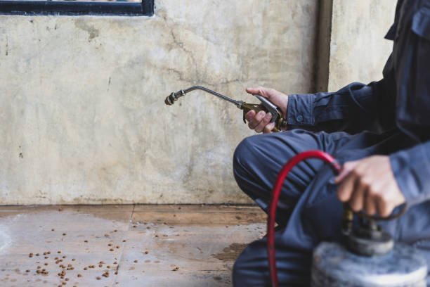 Professional Pest Control in Bloomfield, IA