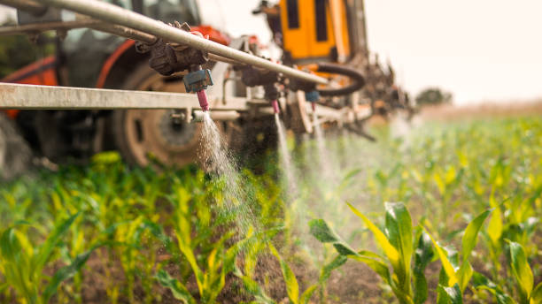 Best Best Pest Control Companies  in Bloomfield, IA