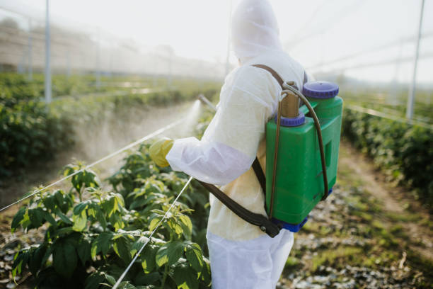 Best Pest Control Treatment  in Bloomfield, IA